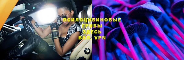 mdpv Ижевск