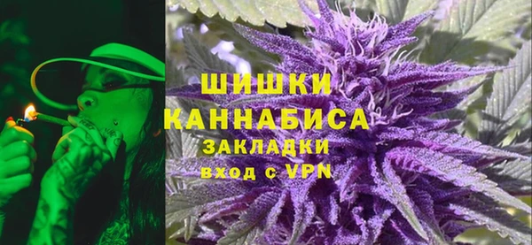 соль ск Нея