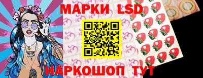 mdpv Заводоуковск