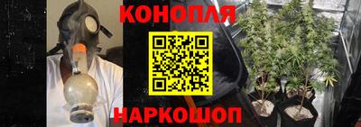 mdpv Заводоуковск