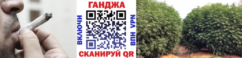 Конопля сатива Южно-Сахалинск